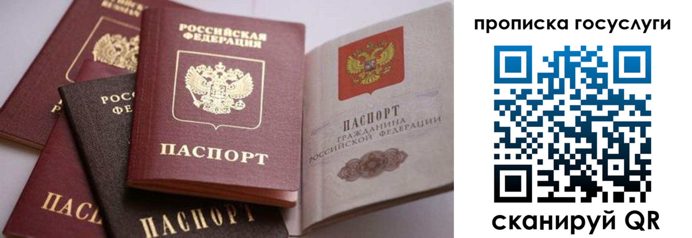 прописка иностранных граждан в Петушках