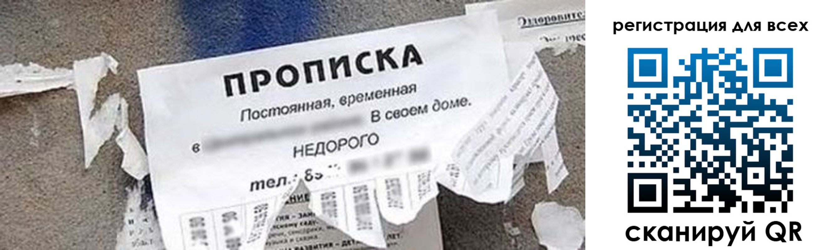 прописка поиск в Петушках